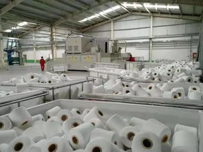 新疆首家纱线染色项目在库尔勒纺织城试生产